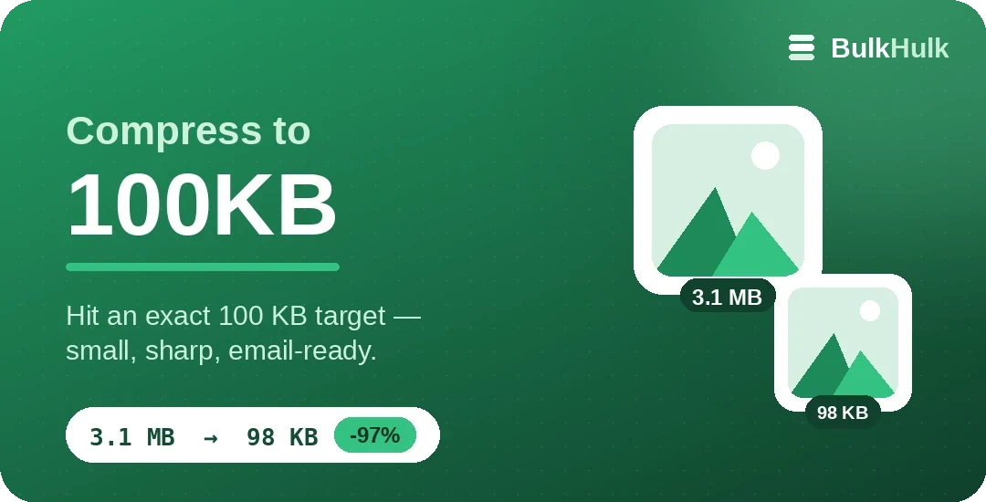 Compress an image to 100KB — a 4.8 MB photo reduced to 100 KB in the browser