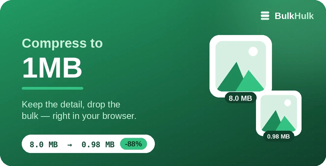 Compress an image to 1MB — a 6 MB photo reduced to 1 MB in the browser