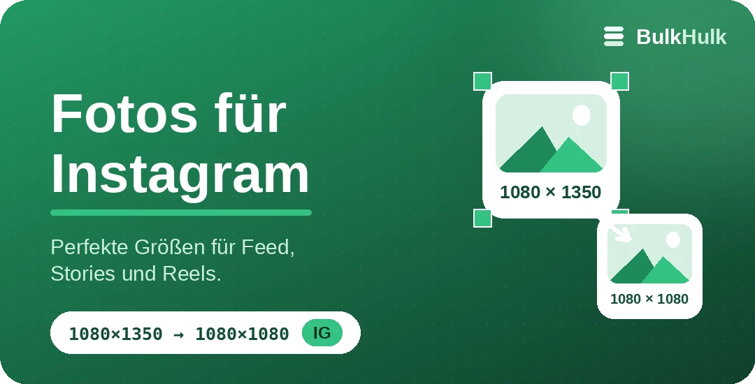 Instagram-Foto-Größentool — Feed, Stories und Reels, kostenloses Online-Tool