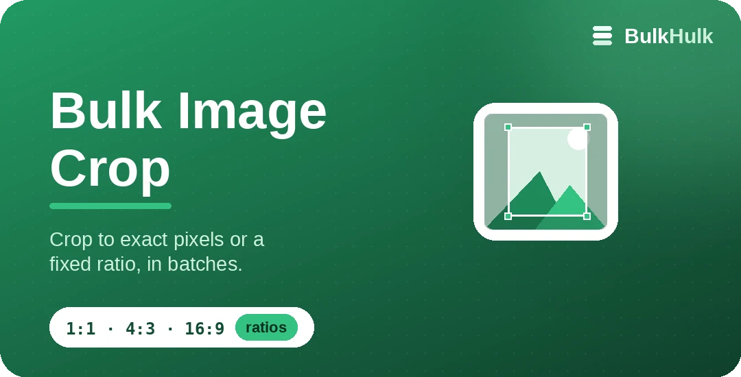 Bulk image crop tool with a crop box and corner handles over a photo
